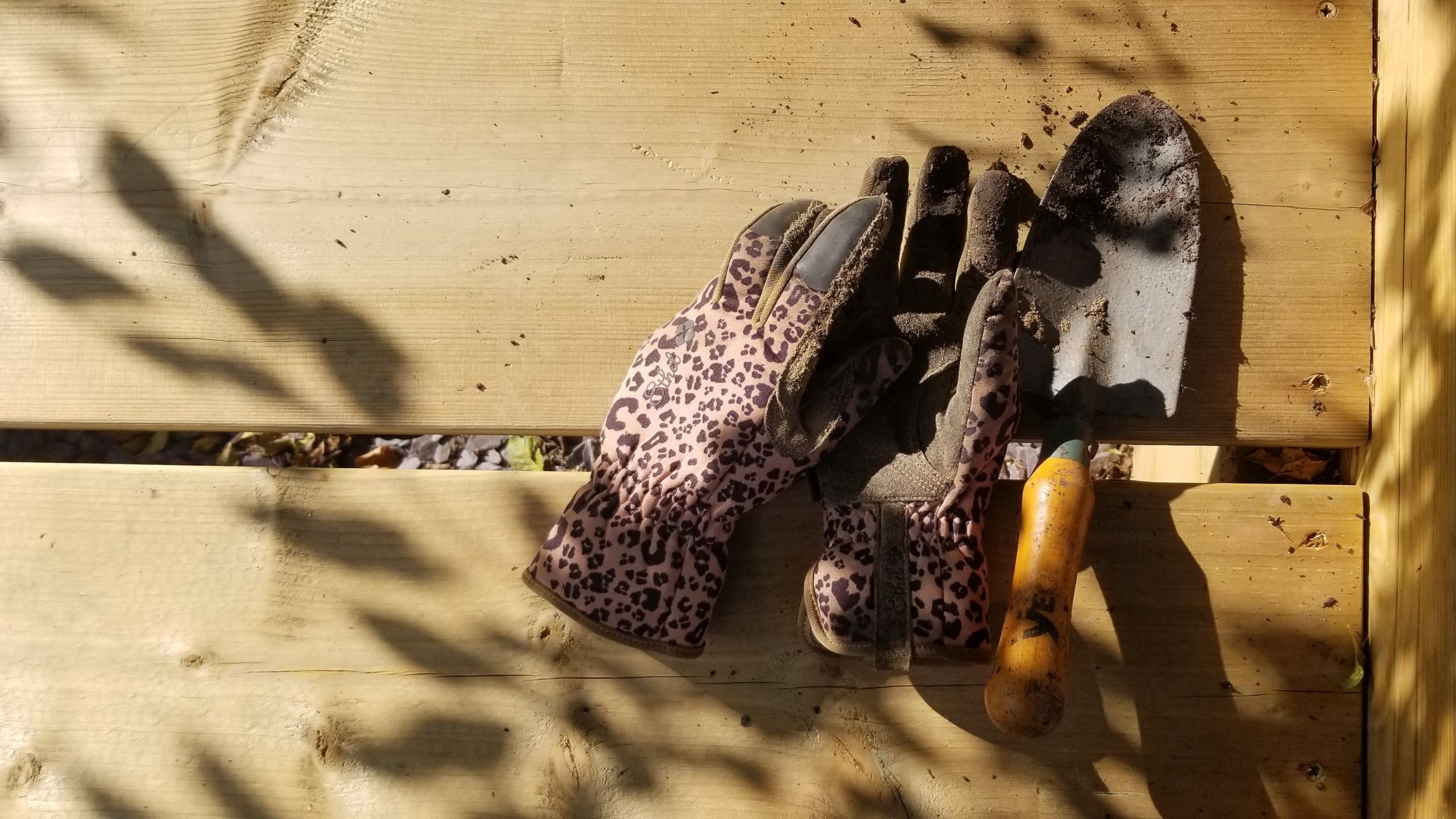 Gardening gloves and a trowel covered by shadows from a tree above.