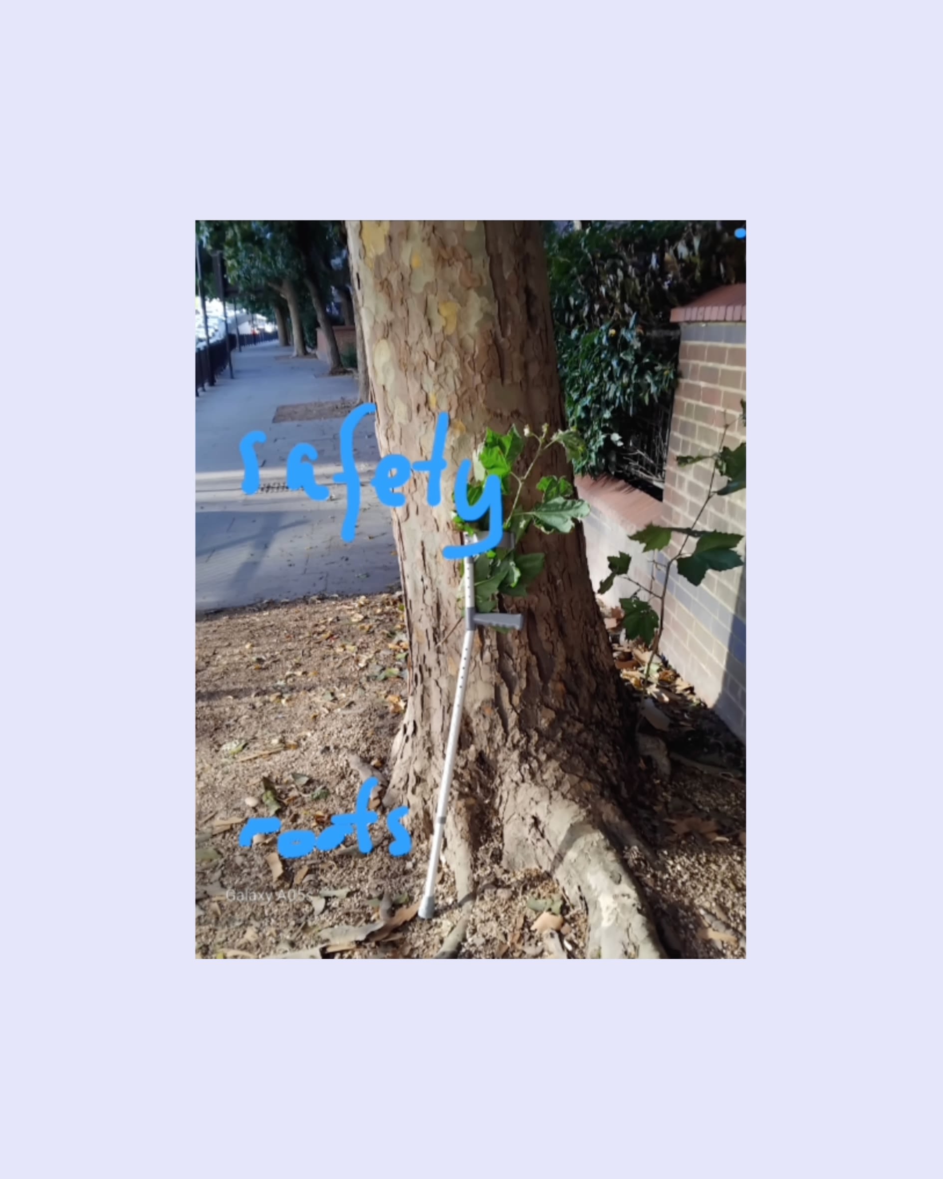 A crutch and branch leaning against a tree trunk. The handwritten caption reads safety, roots.