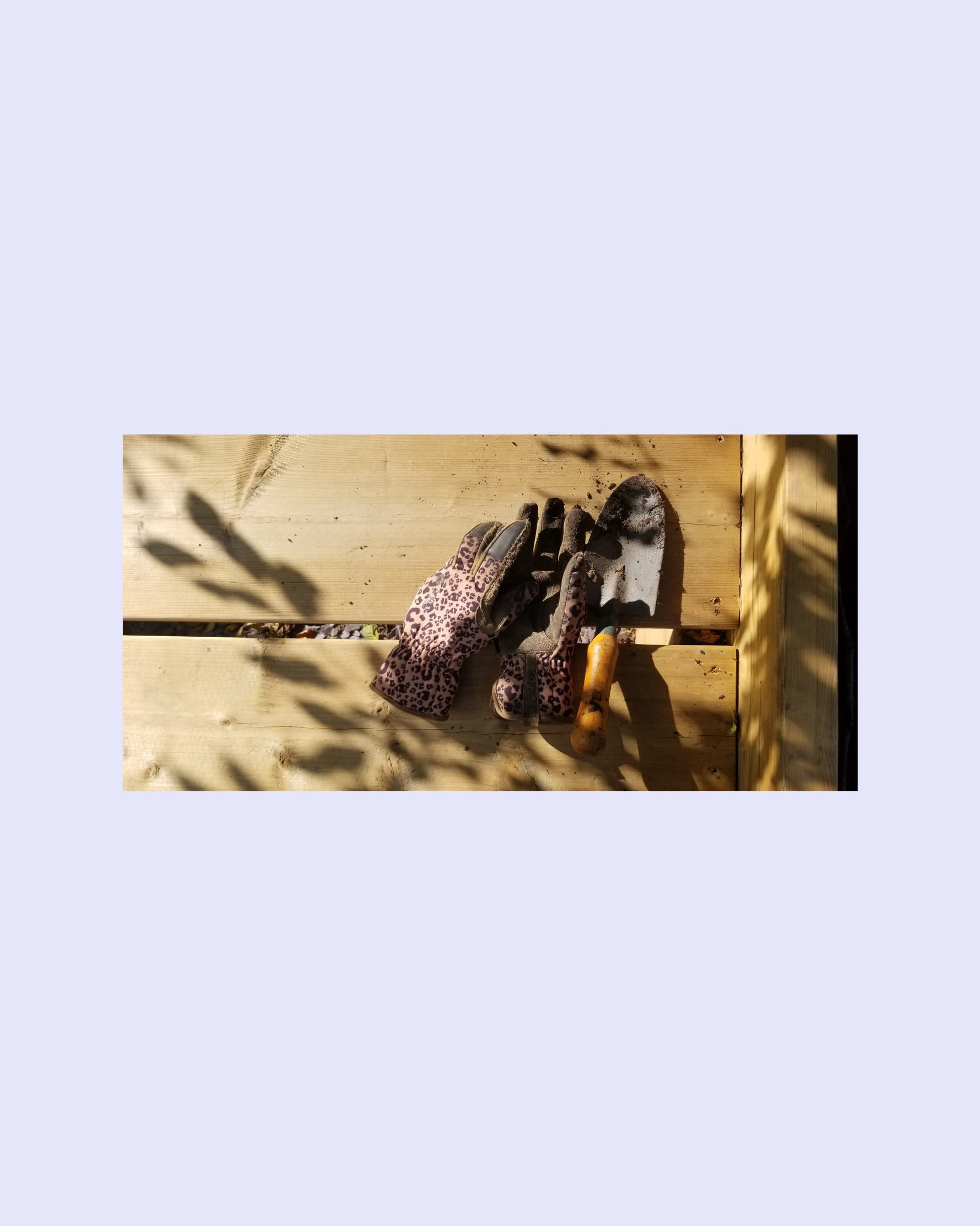 Gardening gloves and a trowel covered by shadows from a tree above.