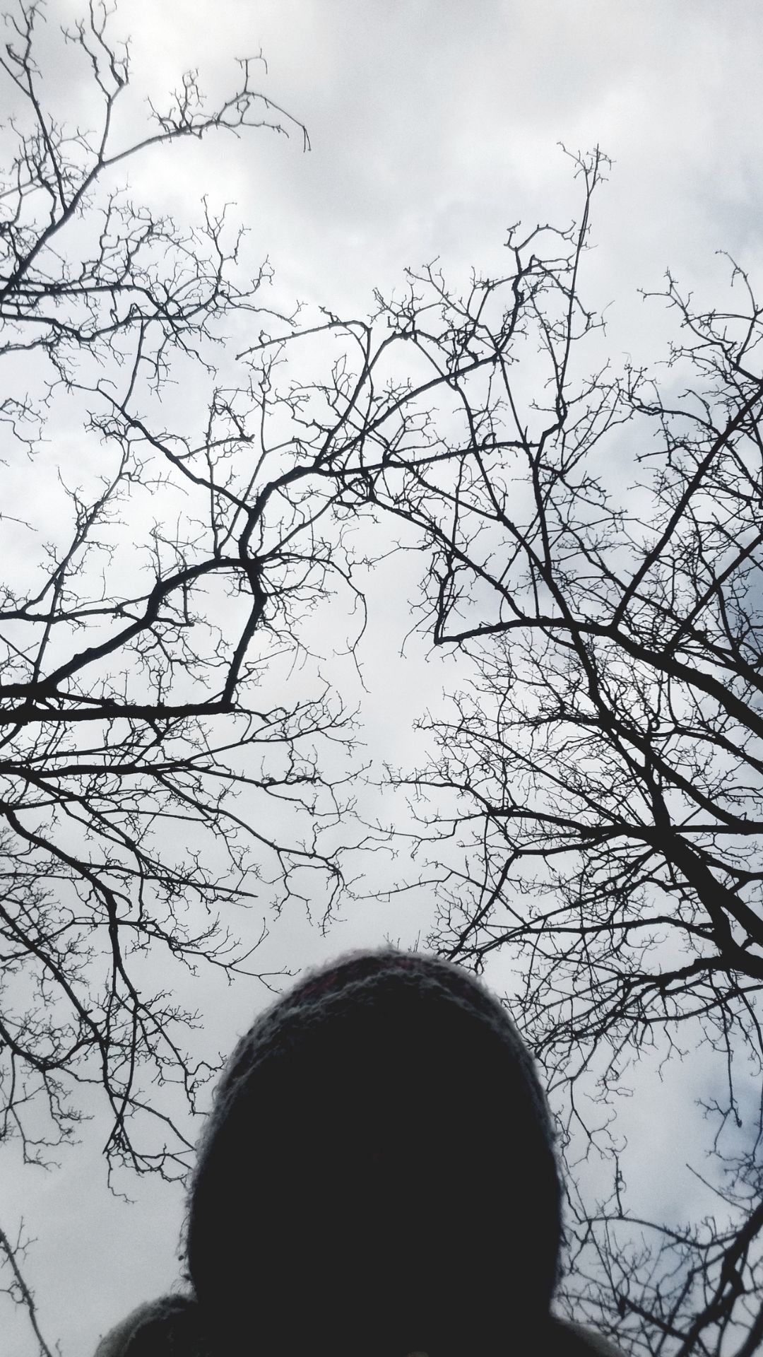 The shadow of a woman's head with clouds and trees in the background.