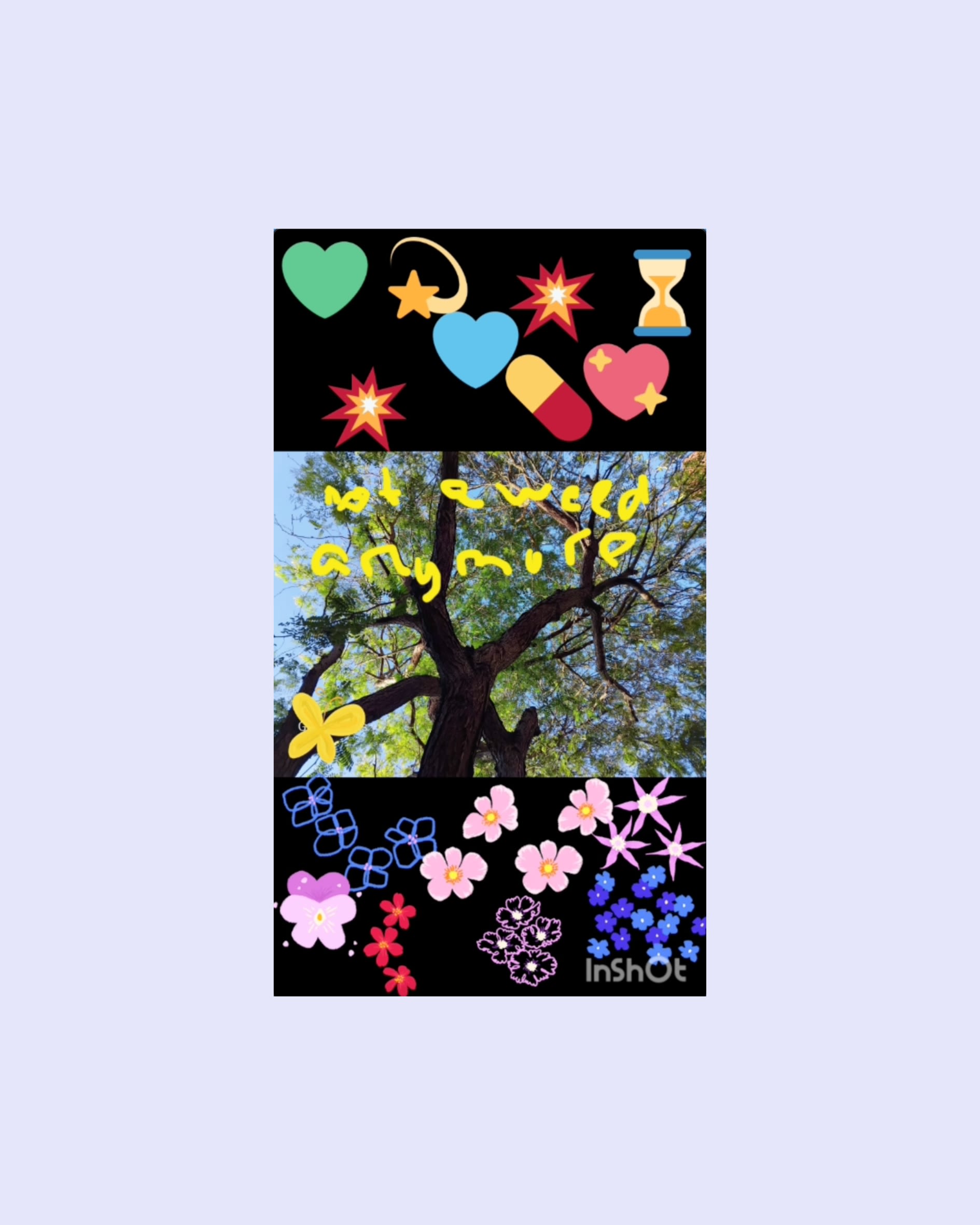 The top of a tall tree with the sky in the background. The handwritten caption reads not a week anymore. There are graphics of flowers, hearts, a pill, and an hourglass added to the photo.