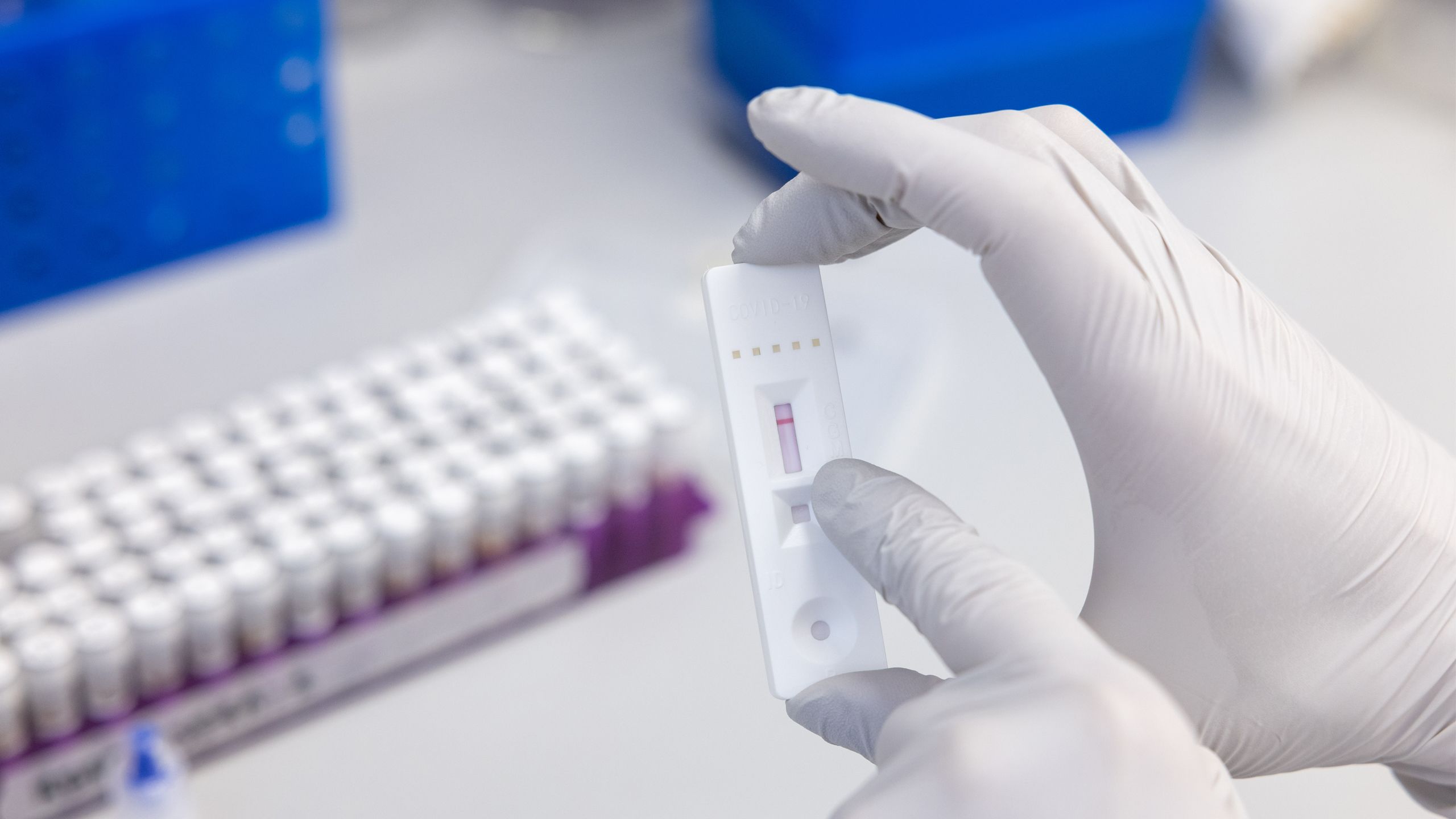 A coronavirus antibody testing stick