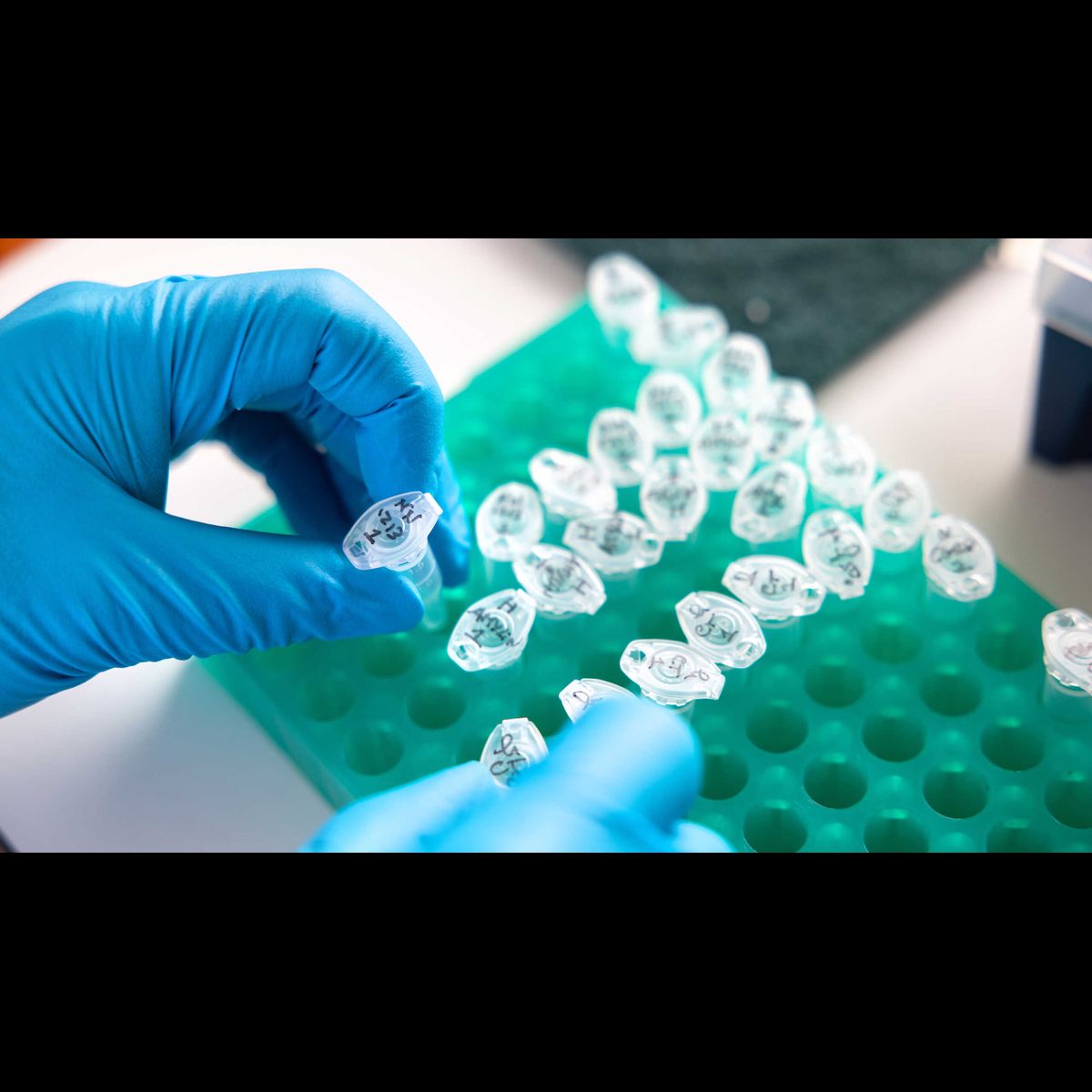 The discovery that launched a new wave of weight loss drugs