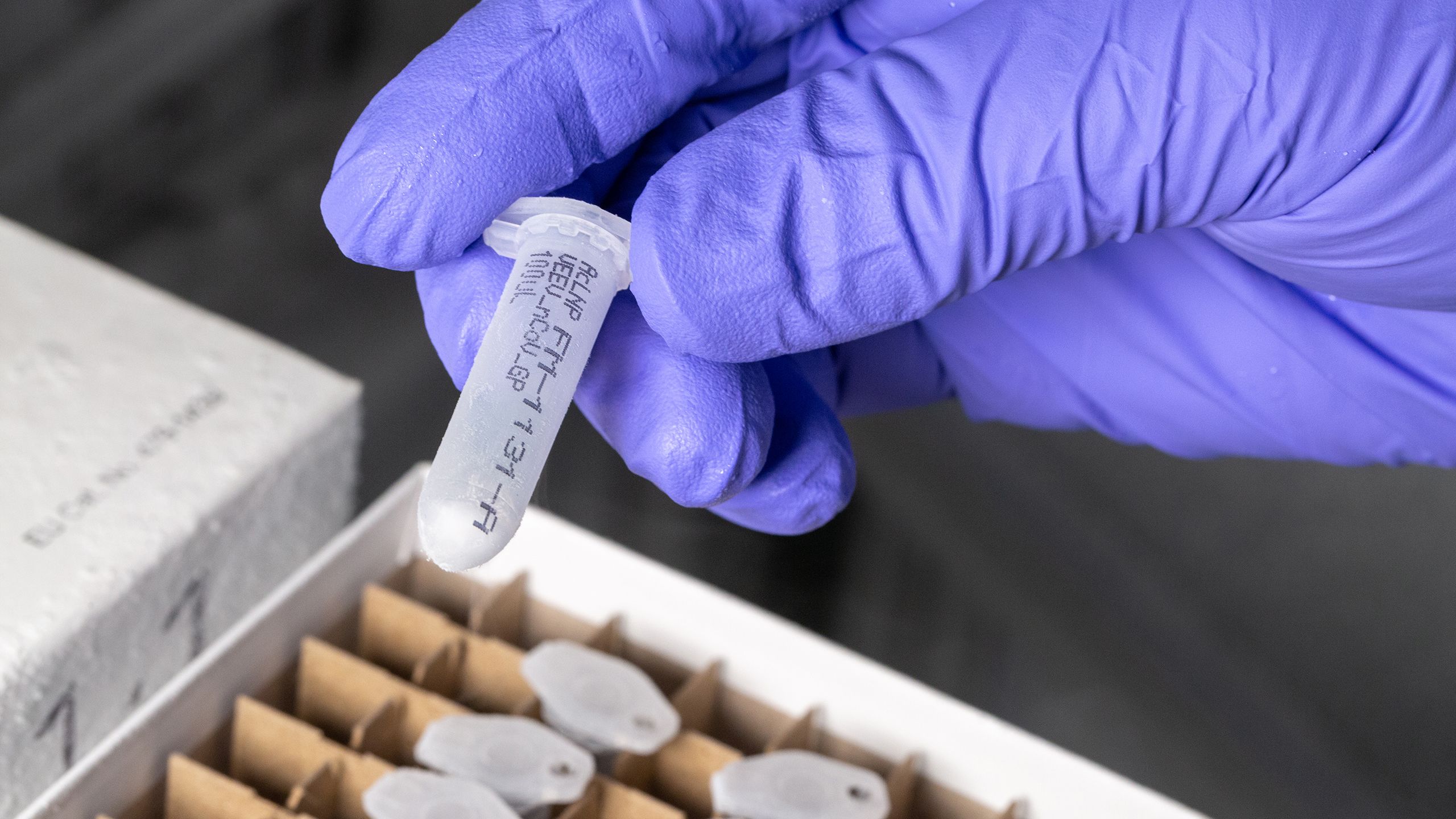 A hand in a purple glove holding a plastic vial