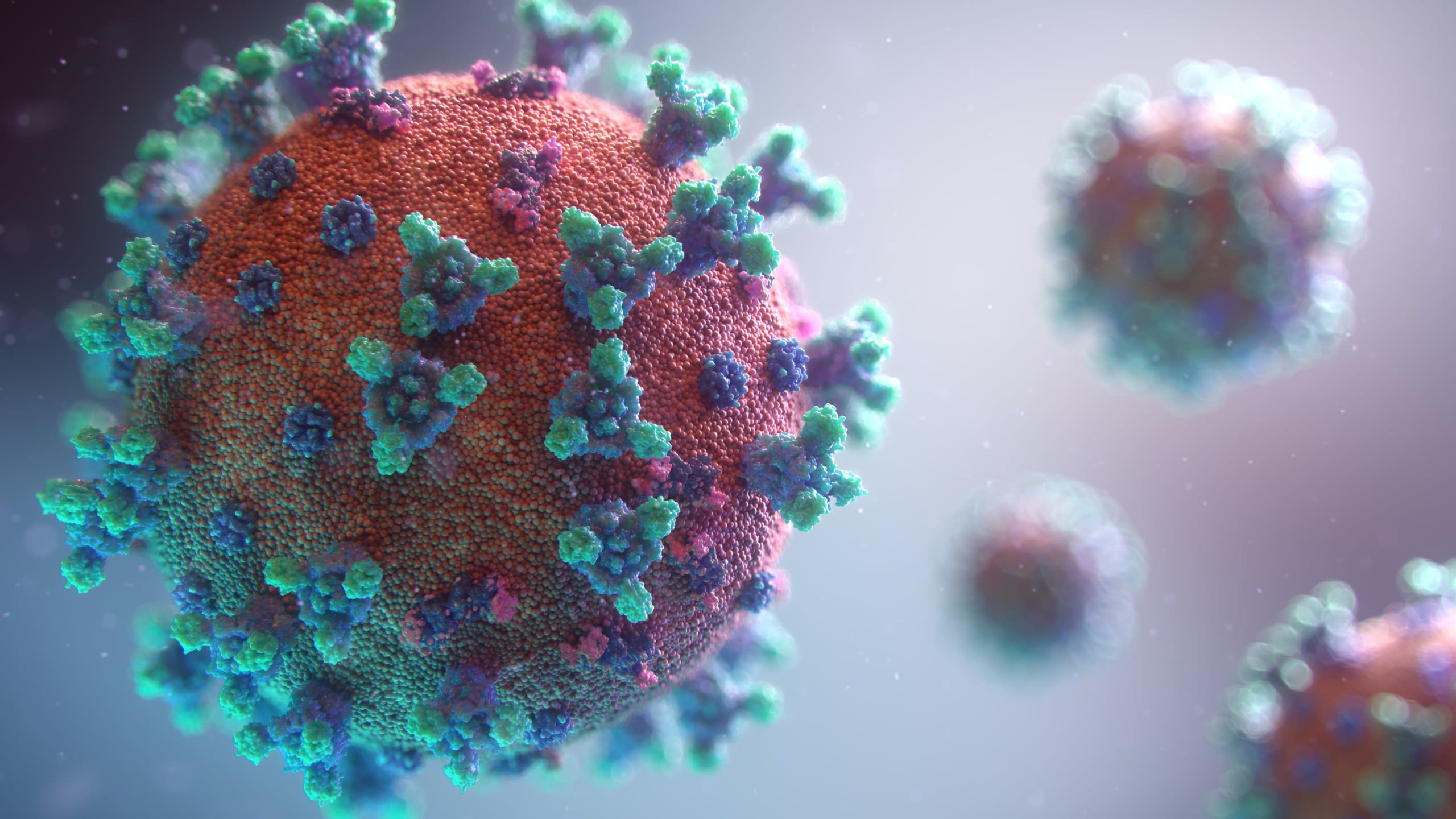 Visualisation of the coronavirus that causes COVID-19