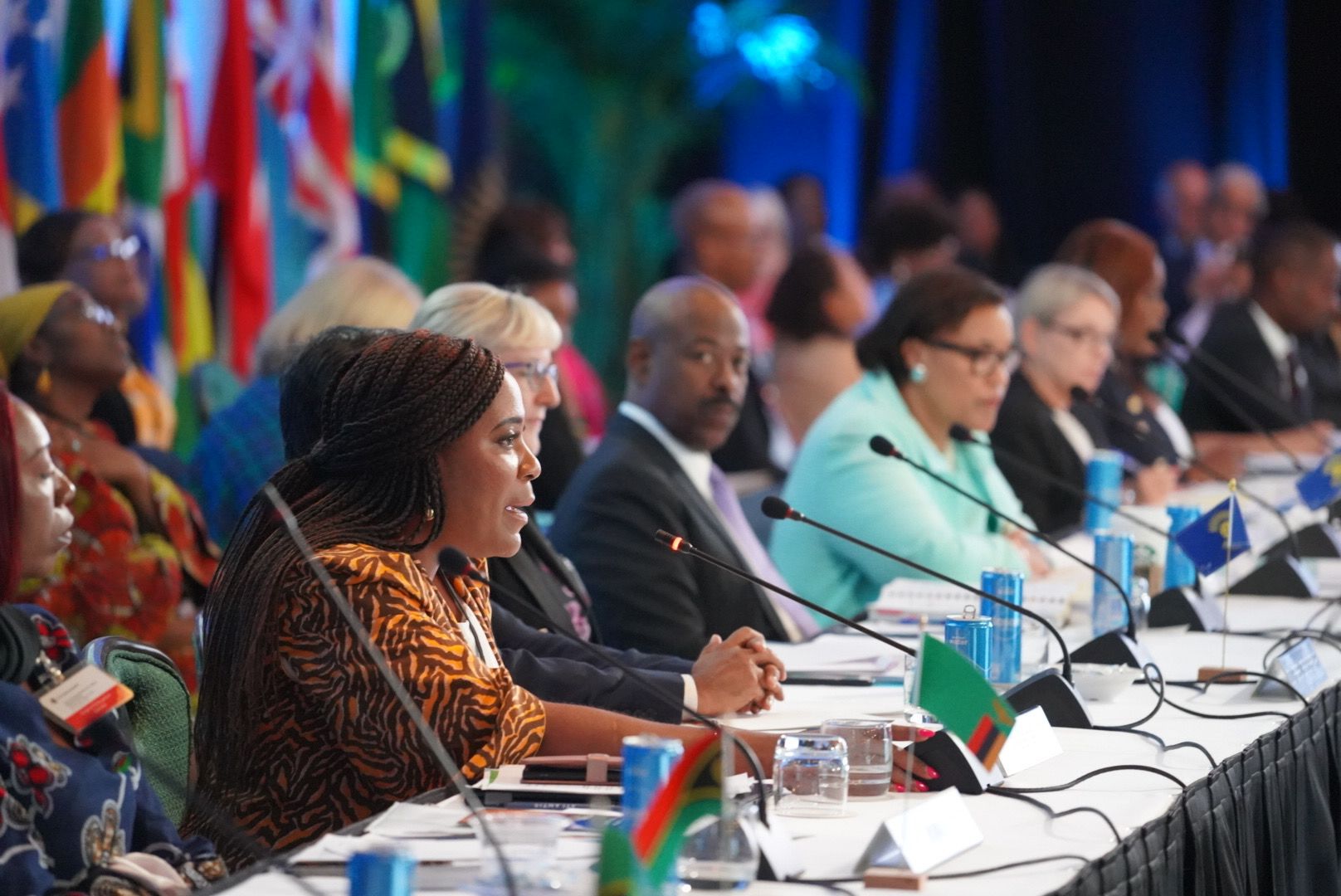 Uzo speaking on a Commonwealth panel